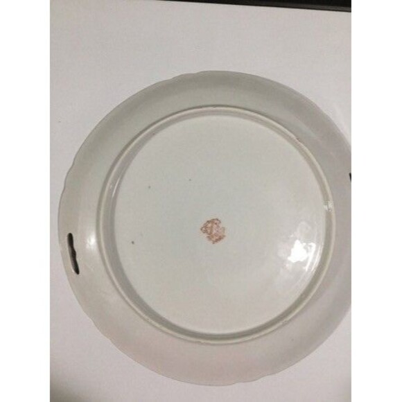 VTG Carl Schumann Arzberg Bavaria Porcelain Wild Roses Chop/Cabinet Plate - Picture 4 of 12